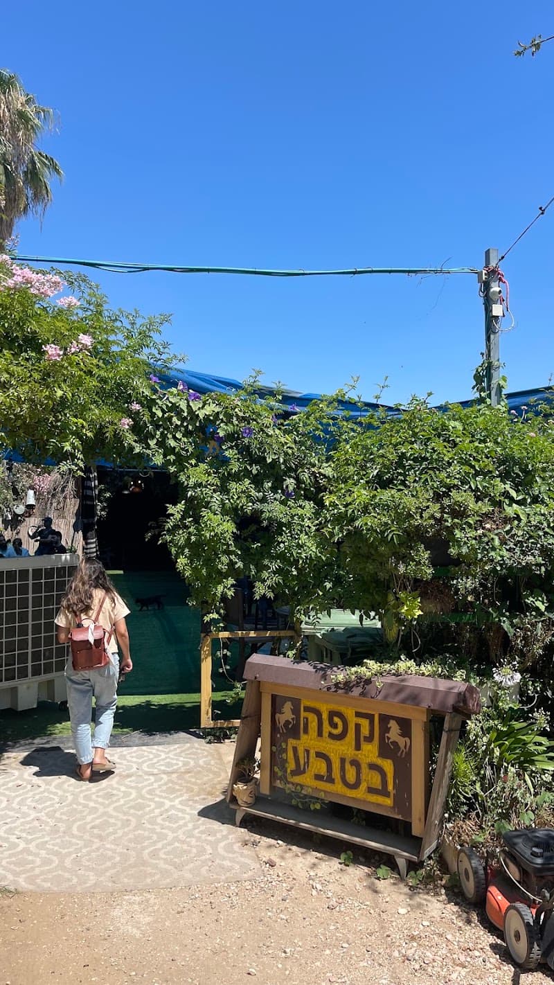 סוס קפה - תמונה 6