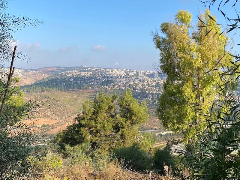 הלל פיצה - תמונה 6