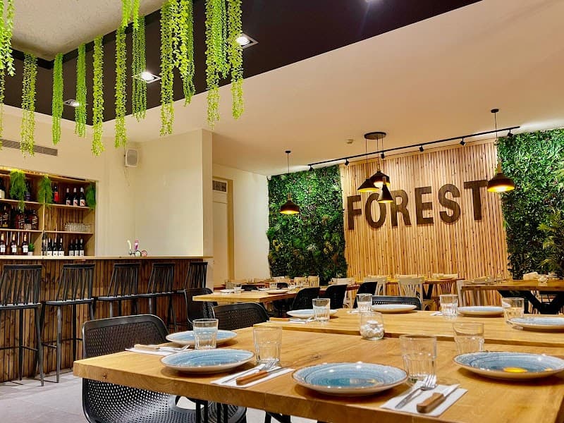 Forest מעונה