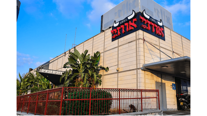 אווזיי חיפה