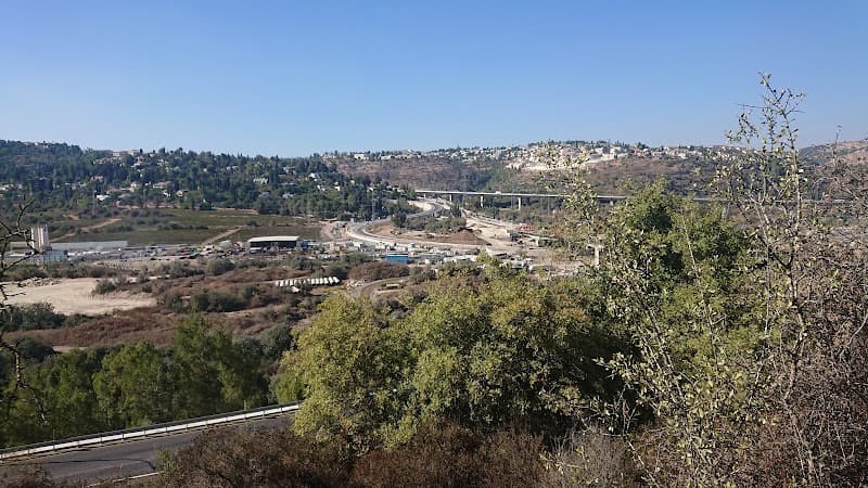 מוצא - תמונה 2