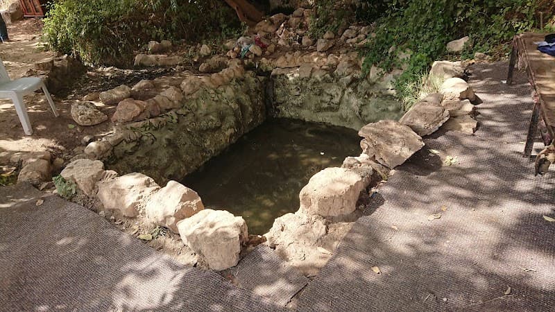 מוצא - תמונה 5