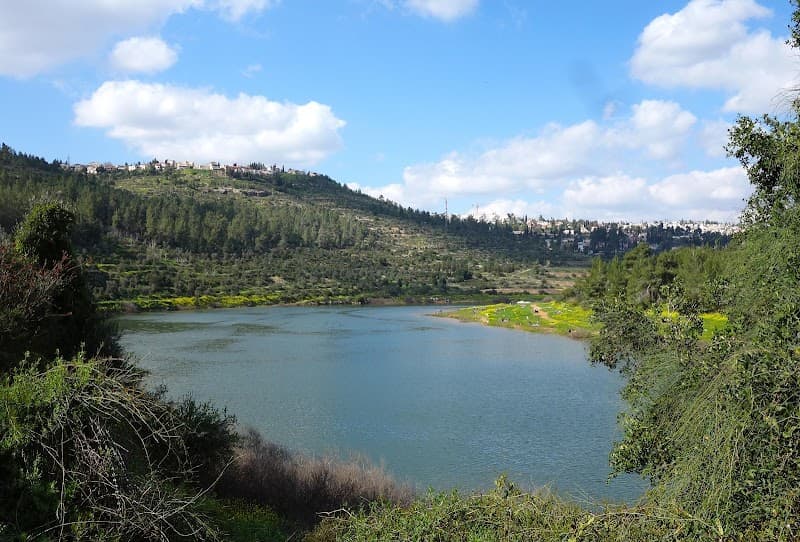 מוצא - תמונה 7