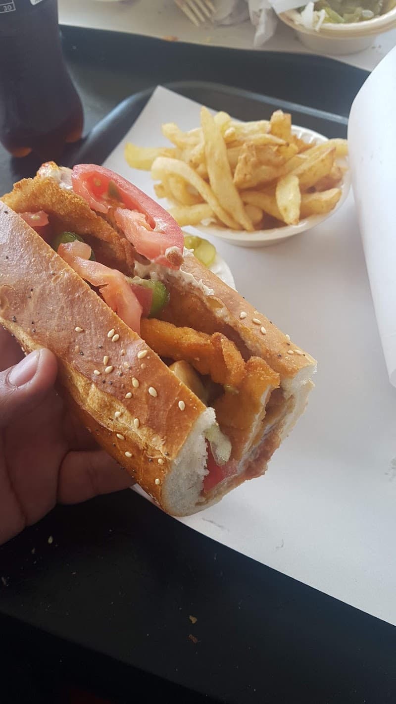 Schnitzel Kushi - תמונה 7