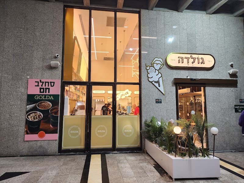 גולדה תל השומר - תמונה 3