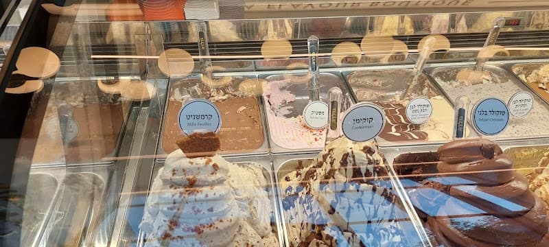 גולדה תל השומר - תמונה 7