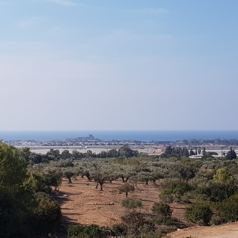 לב השביל 26 - תמונה 2