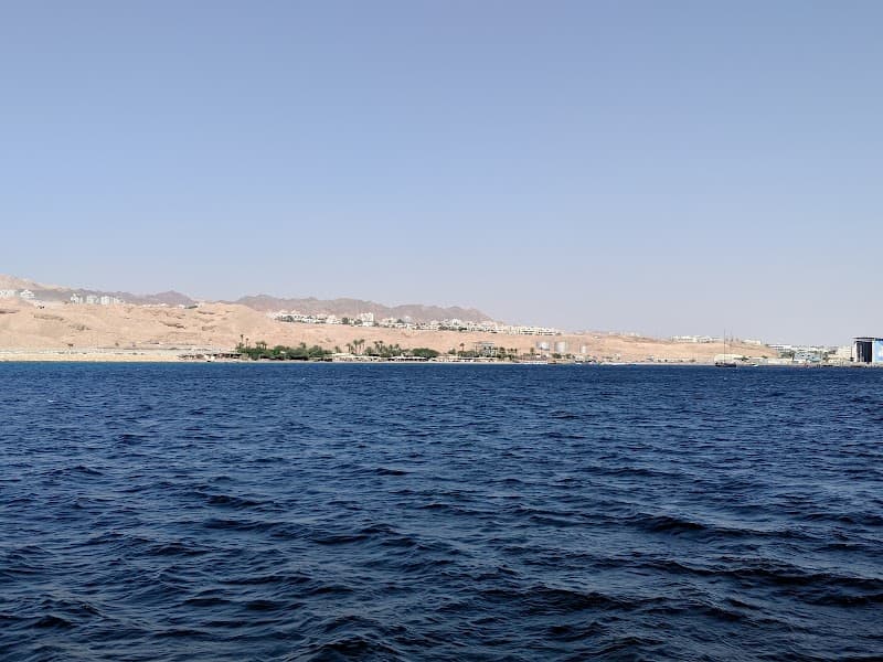 פיצה פרגו אילת - תמונה 6