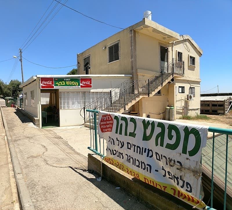 מפגש בהר - תמונה 2